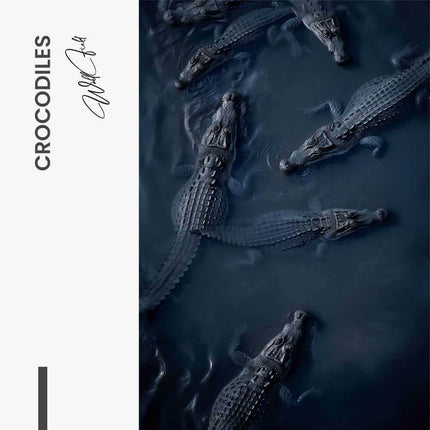 "Crocodiles"
