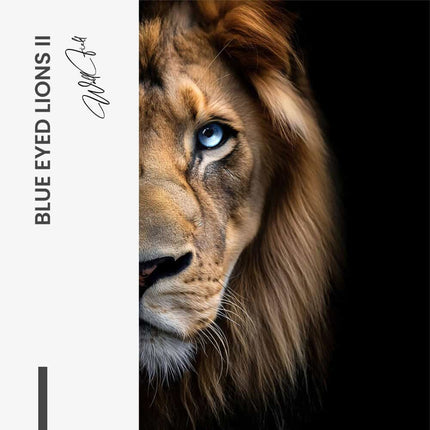 Bundle: "Blue Eyed Lions" (2x)