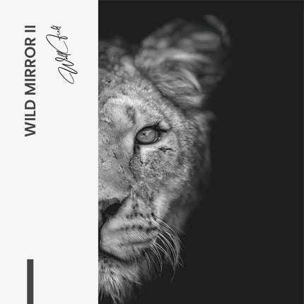 Bundle: "Wild Mirror" (2x)