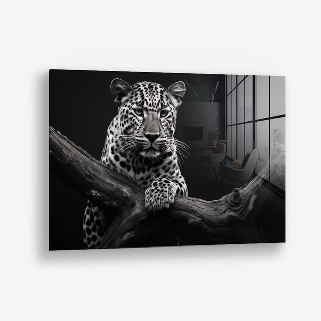 Jaguar HZ – Glass