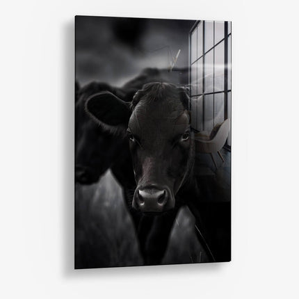 The Cow – Glass
