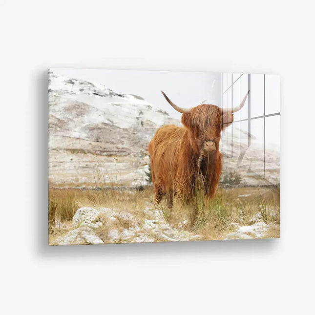 Highlander nordique – <tc>verre</tc>