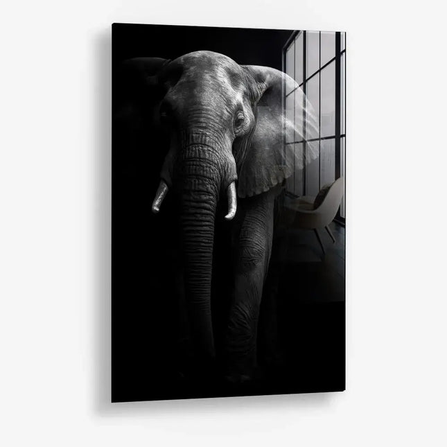Safari I – Glas