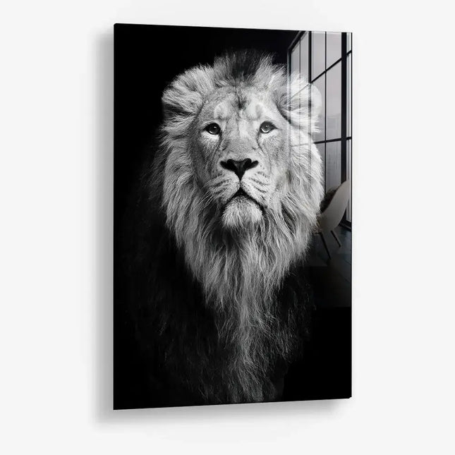Safari III – Glas