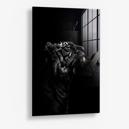 Stripes of Authority – Glass