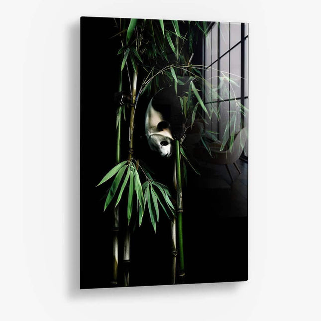 The Panda – Glass