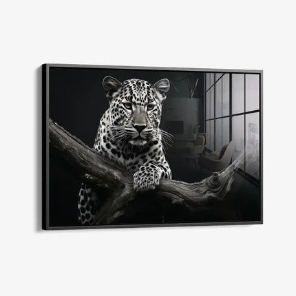 Jaguar HZ – Glass