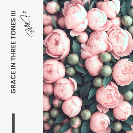 Bundle: "Grace in Three Tones" (3x) – Glass