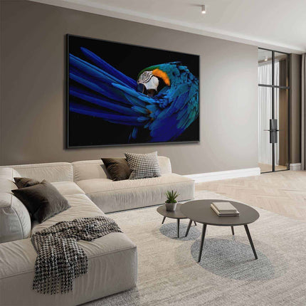 "The Parrot"