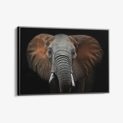 "Wild Elephant"