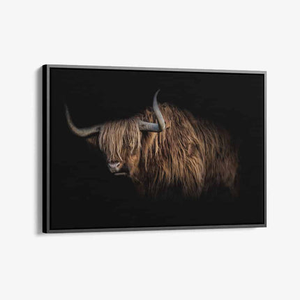 "Highlander"