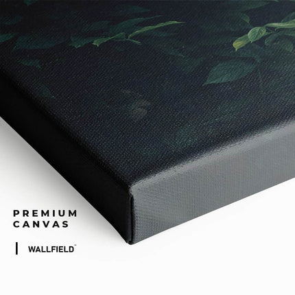 "Jungle plants"