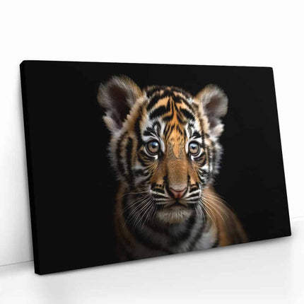 "The Tiger Cub"
