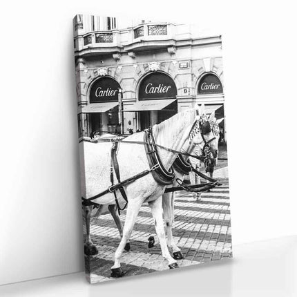 "French Horses"