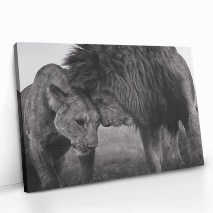 "Loving Lion"