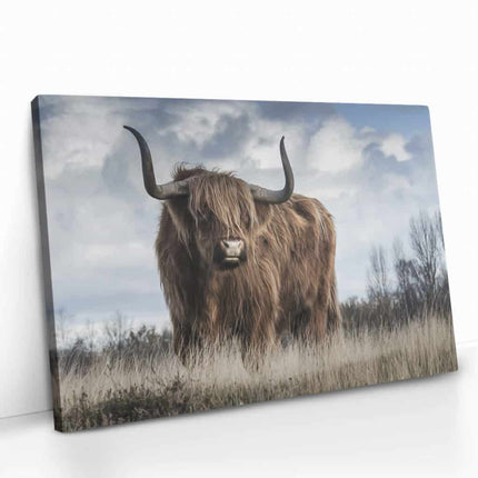"Muskox"