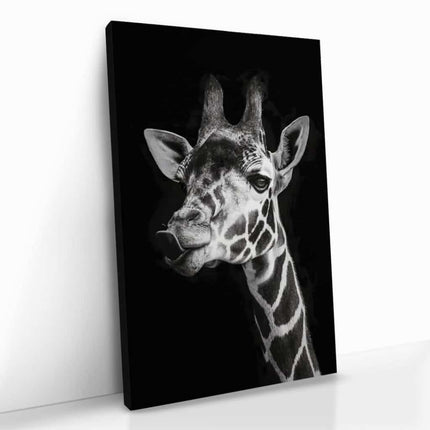 "Giraffe"