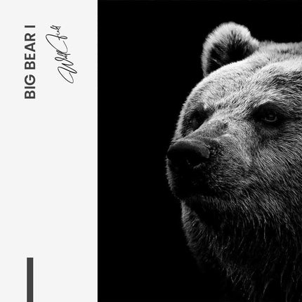 Bundle: "Big Bear" (2x)