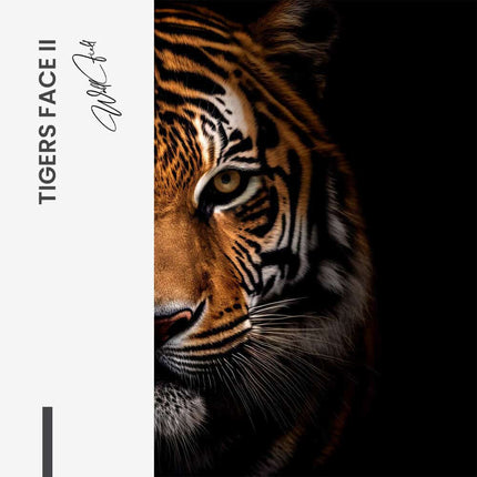 Bundle: "Tiger face" (2x)