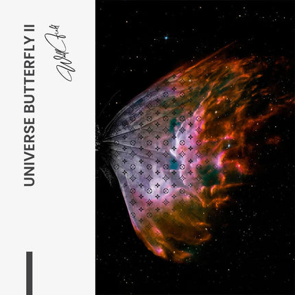 Bundle: "Universe Butterfly" (2x) – Glass