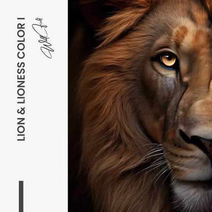 Bundle: "Lion & Lioness Color II" (2x)