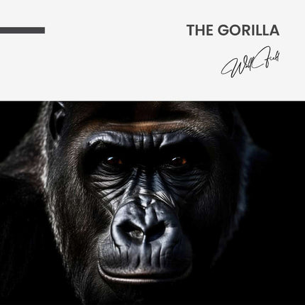 The Gorilla – Glass