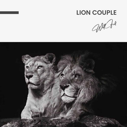 Lion Couple – Glass