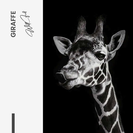Giraffe – Glass