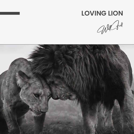 Loving Lion – Glass