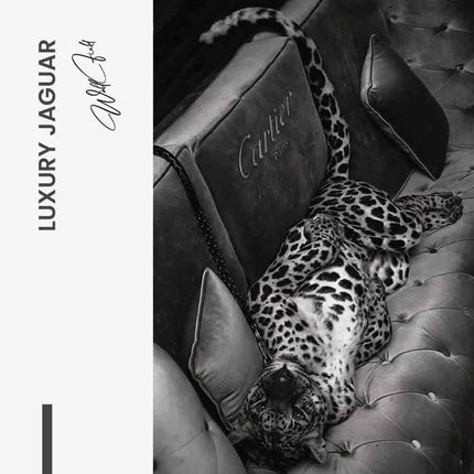 Luxury Jaguar – Glass
