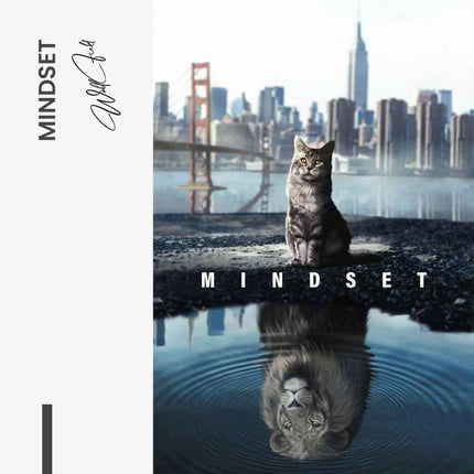 "Mindset"