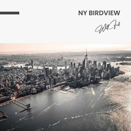"NY Birdview"