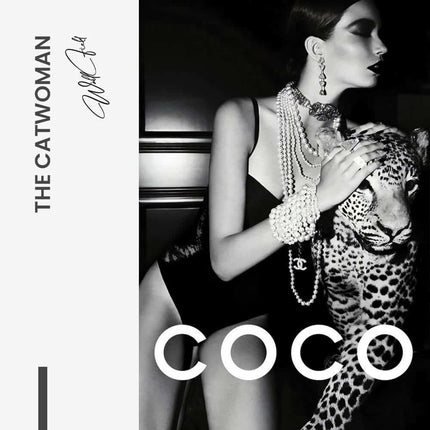 The Catwoman – Glass