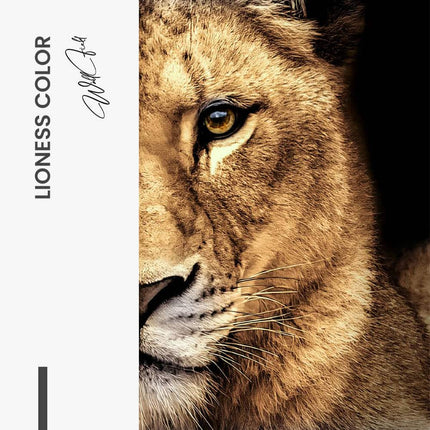 Bundle: "Lion & Lioness Color" (2x)