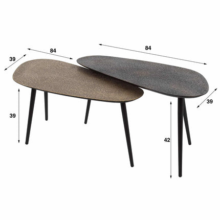 Coffee Table set/2 niervormig metallic / Gray