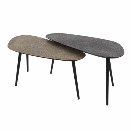 Coffee Table set/2 niervormig metallic / Gray