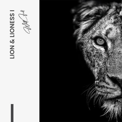 Bundle: "Lion & Lioness III" (2x)