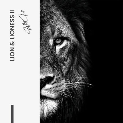 Bundle: "Lion & Lioness III" (2x) – Glass