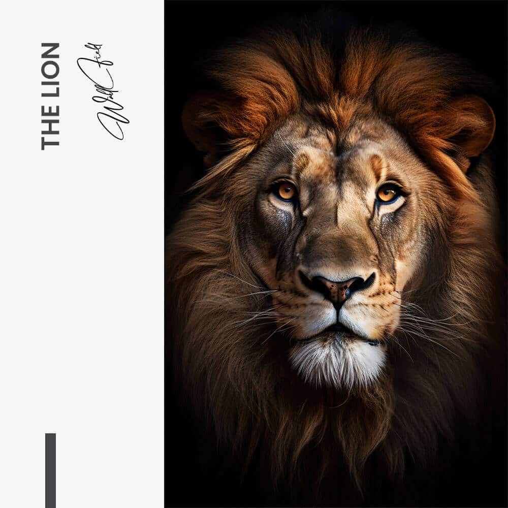 The Lion – Verre