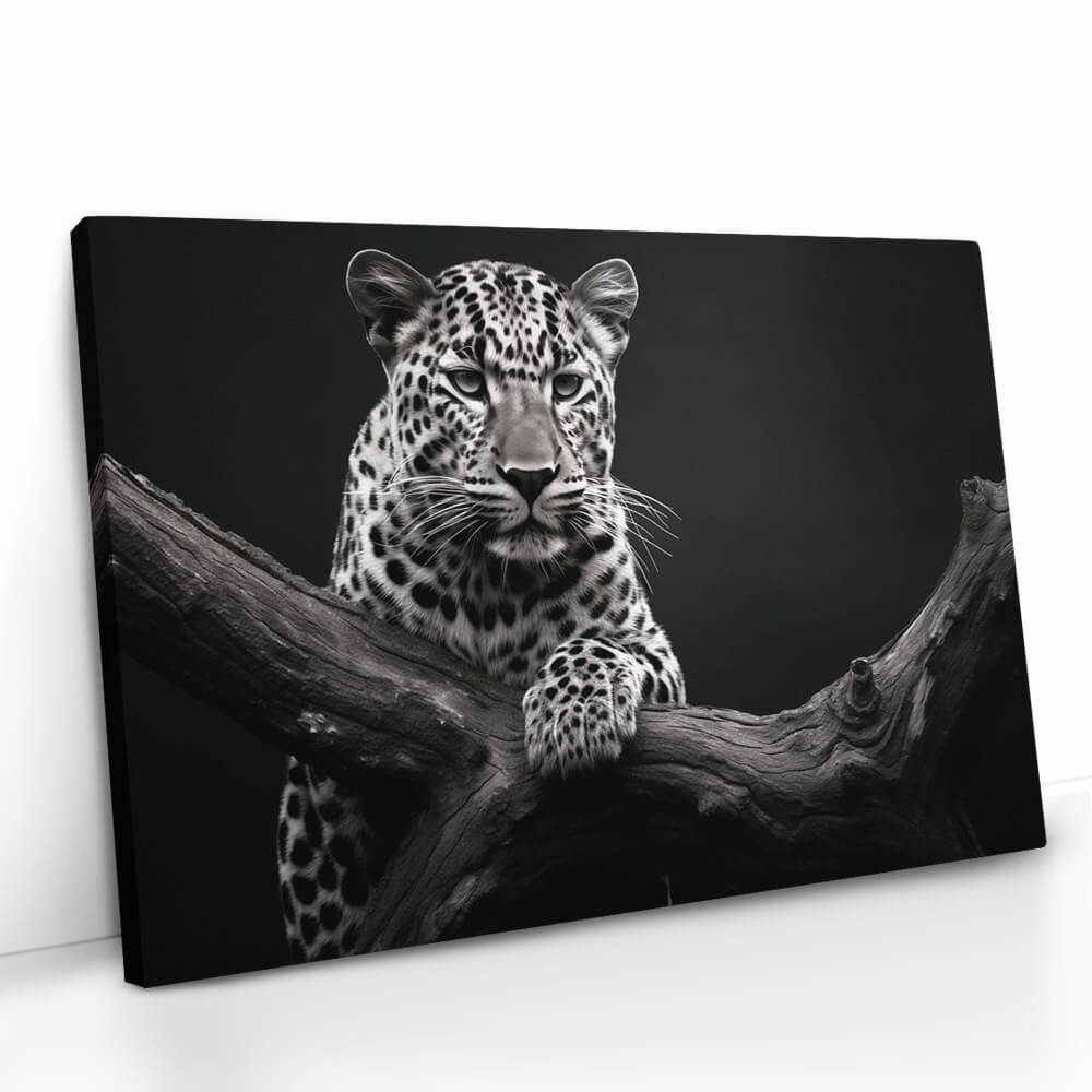 "Jaguar HZ"