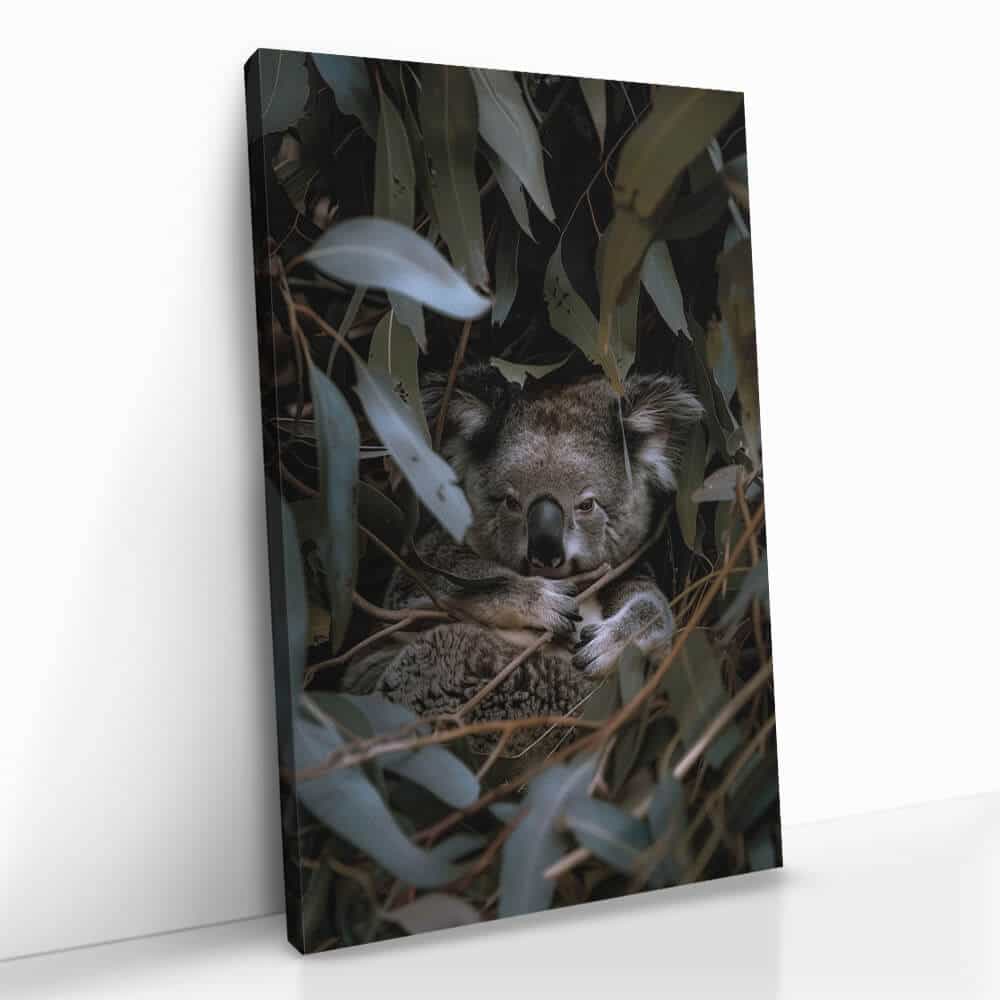 "Eucalyptus Dreams"