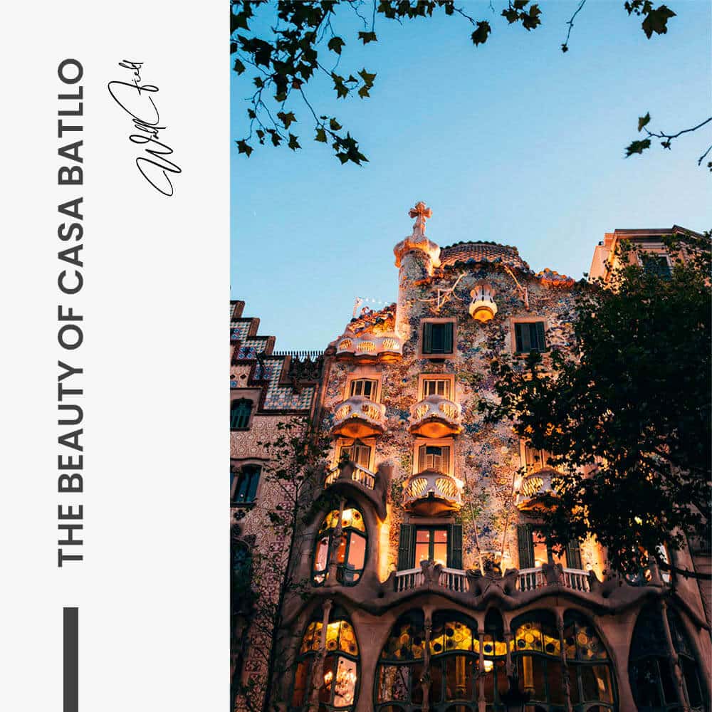 "The Beauty of Casa Batllo"