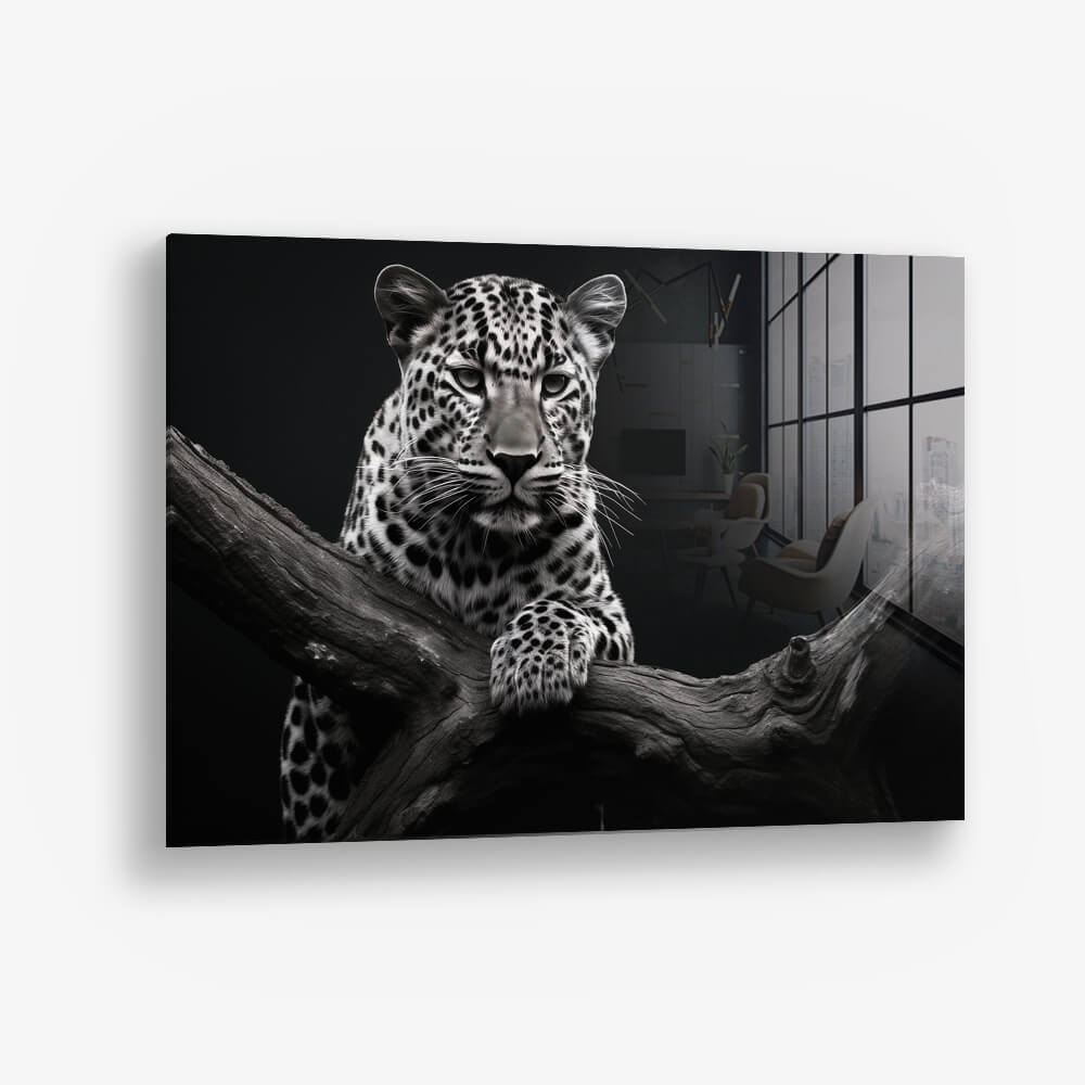 Jaguar HZ – Verre