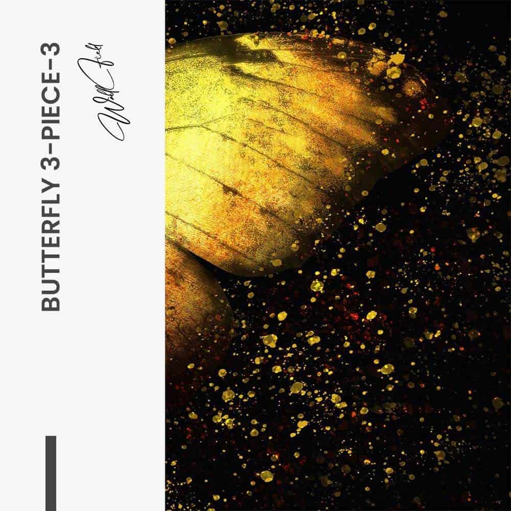 Bundle: "Butterfly 3-Piece" (3x) – Verre