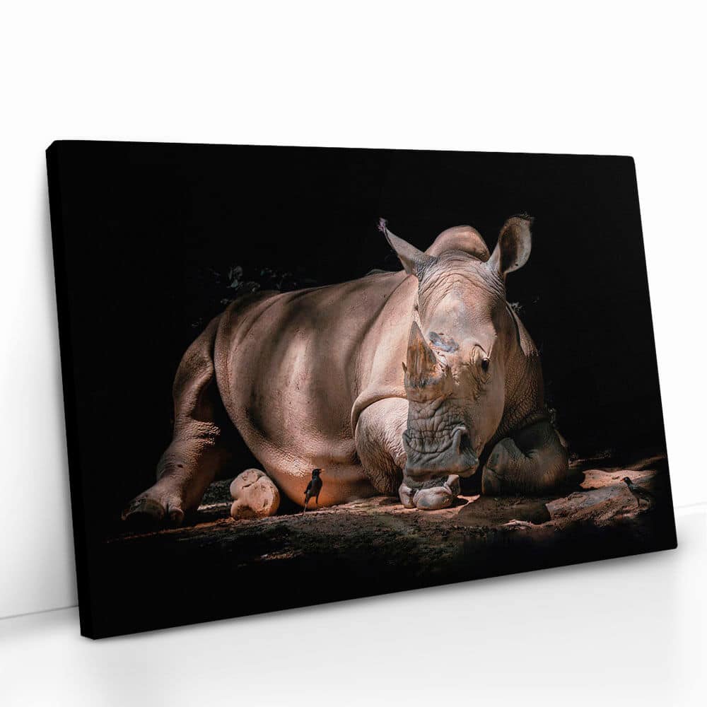 "Rhino"