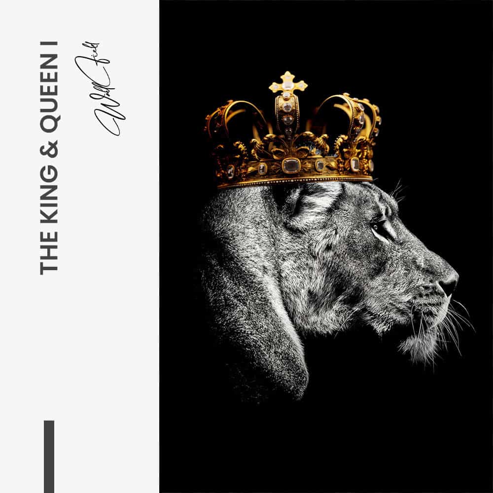 Bundle: "The King Queen" (2x) – Verre