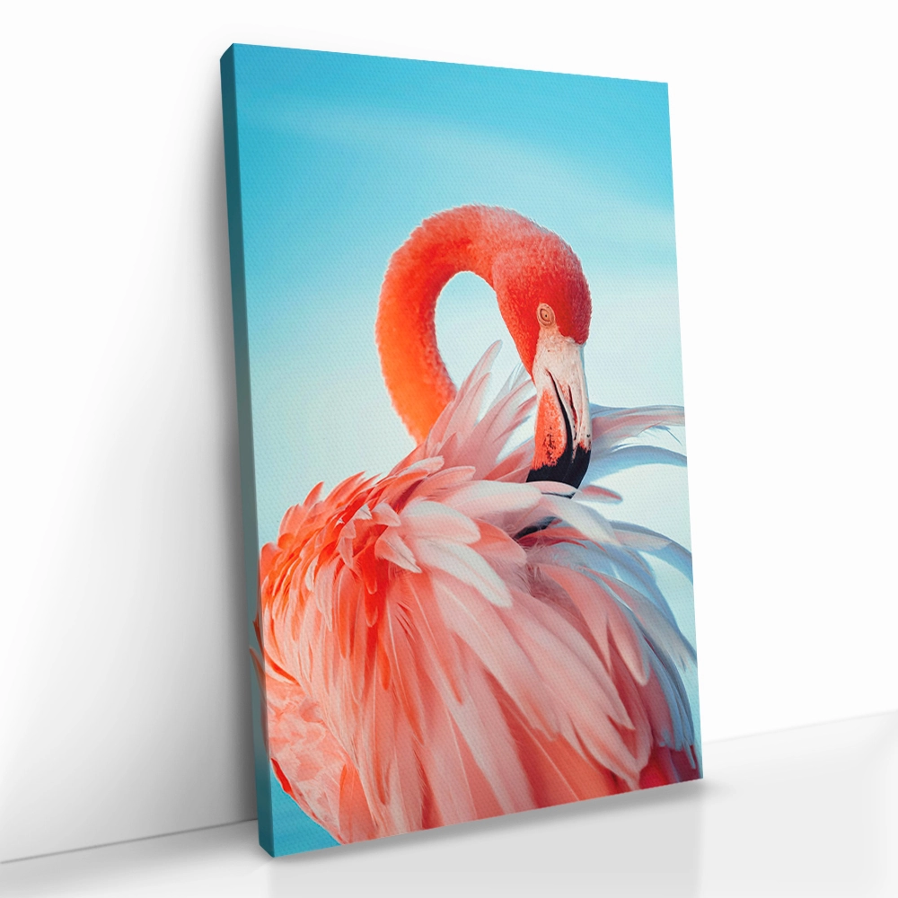 "Featherframe"
