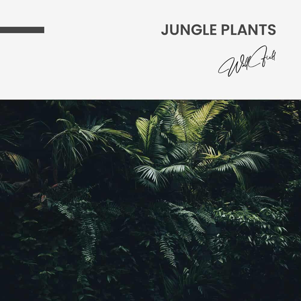 "Jungle plants"