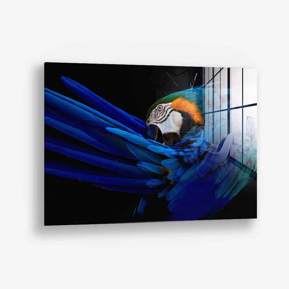 The Parrot – Verre