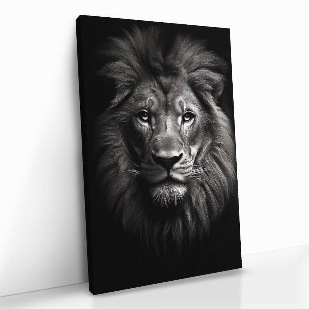 “Lion close-up”